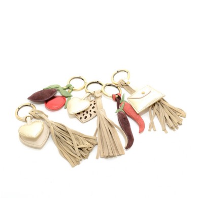 Bagcharms