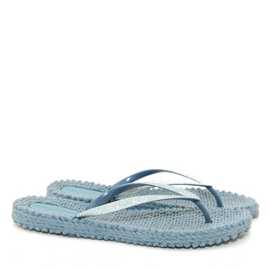 Slipper Lichen blue