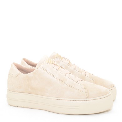 H37 5529-049 Biscuit