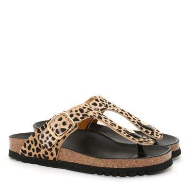 S38 Anaïs leopard