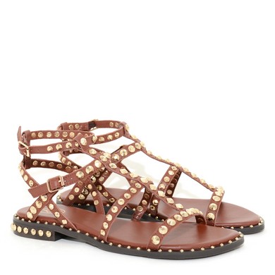 ASH Precious Marsala K19