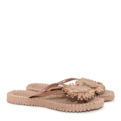Slipper zonnebloem mocca