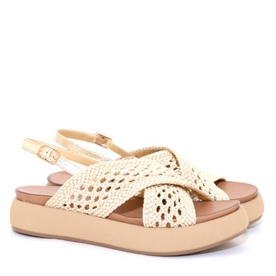 C113 A96075 Gold