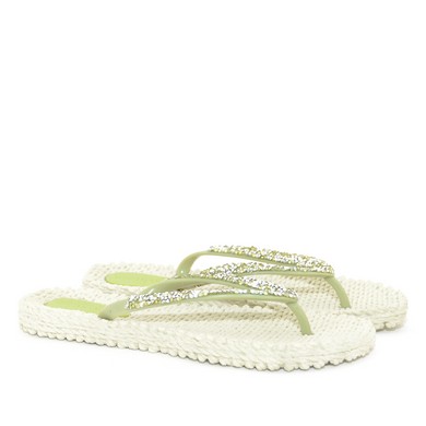 Slipper moss