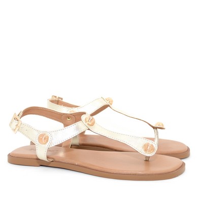 C48  981009 Gold